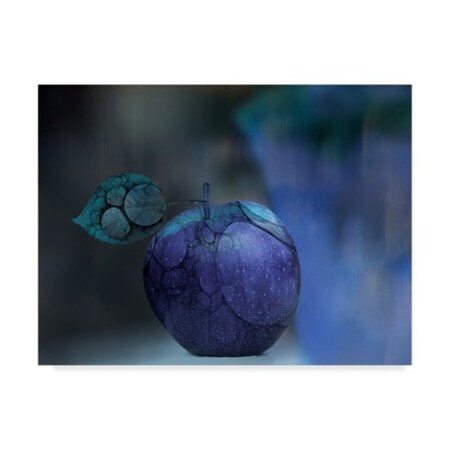 Natalia Baras 'Blue Apple' Canvas Art,24x32